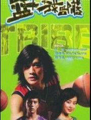 篮球部落全集在线观看,热血青春，篮球梦想的激荡之旅