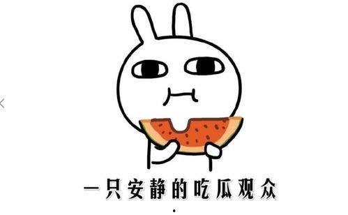 抖音吃瓜免费看,轻松解锁热门瓜子的秘密通道