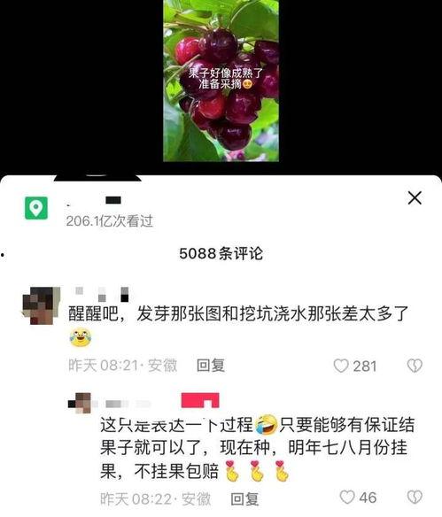 爆料扎心队长视频下载,揭秘幕后真相，网友热议不已