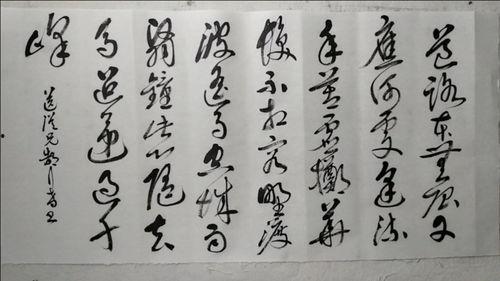 草书视频在线观看,跟随在线视频领略书法之美