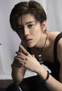 爆料鹿晗韩语视频下载百度云,揭秘百度云存储秘籍