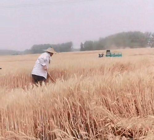 漯河首富被儿子爆料视频,揭秘家族企业内幕